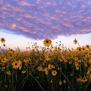 啊哈又加一指啊哈啊
